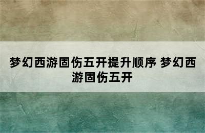 梦幻西游固伤五开提升顺序 梦幻西游固伤五开